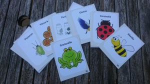 cartes jardin