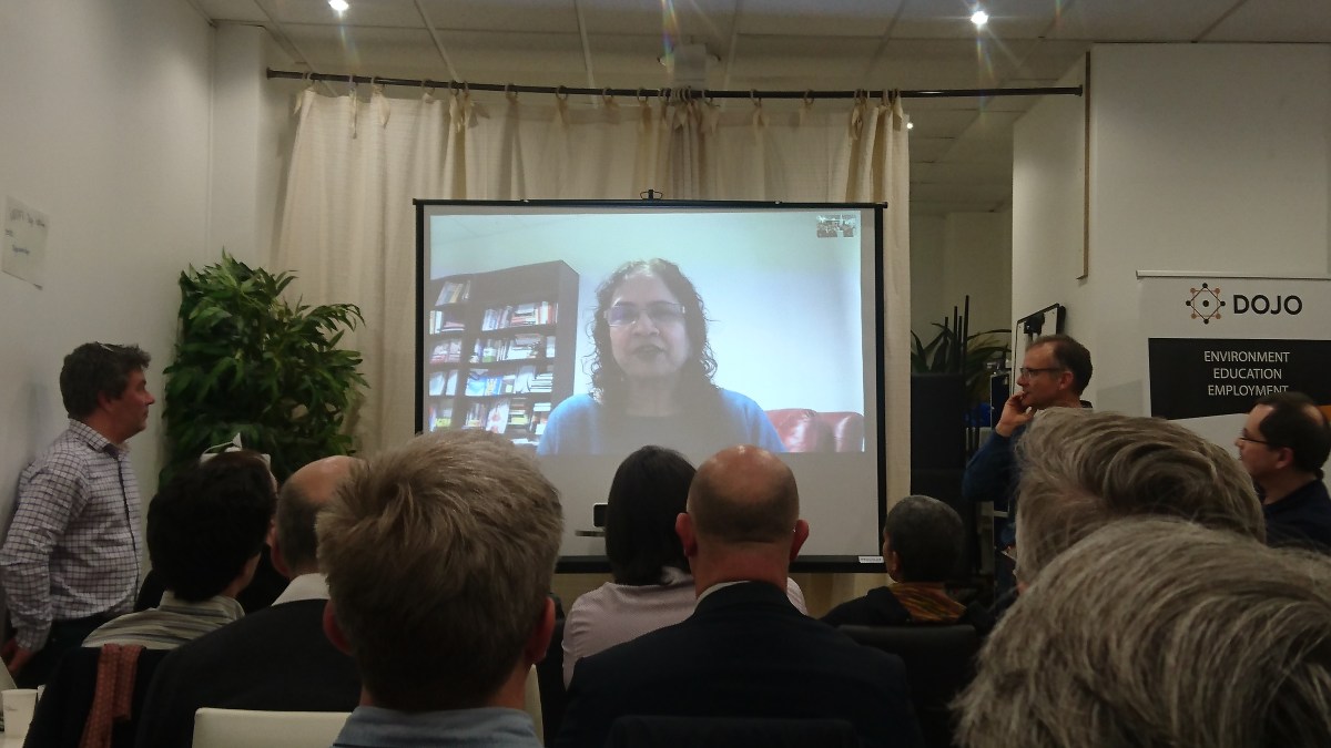 Saras Sarasvathy en Skype aux JFE 2020
